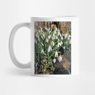 snowdrop Mug